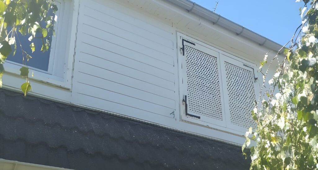 Nettoyage et démoussage Jvoisin